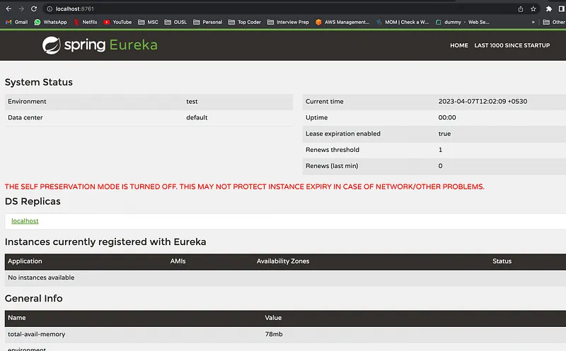 Now run this application and if you go to the http://localhost:8761 you will see a web page like this