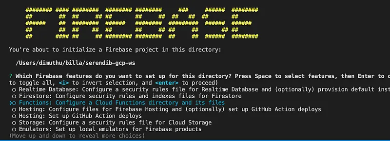 As the first step create new folder and inside it open a terminal and run firebase init command. You will get something like this